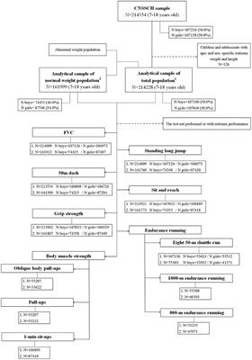 Percentile Curves for Multiple Physical Fitness Components Among Chinese Han Children and Adolescents Aged 7–18 Years From a National Survey Based on the Total and the Normal Weight Population